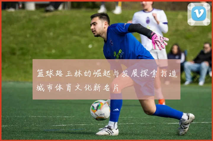 篮球路玉林的崛起与发展探索打造城市体育文化新名片