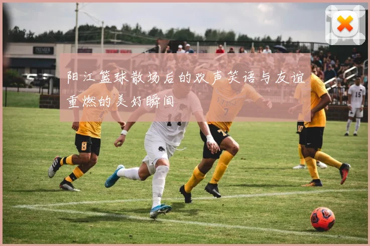 阳江篮球散场后的欢声笑语与友谊重燃的美好瞬间