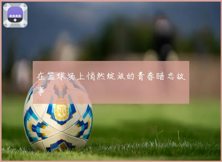 在篮球场上悄然绽放的青春暗恋故事