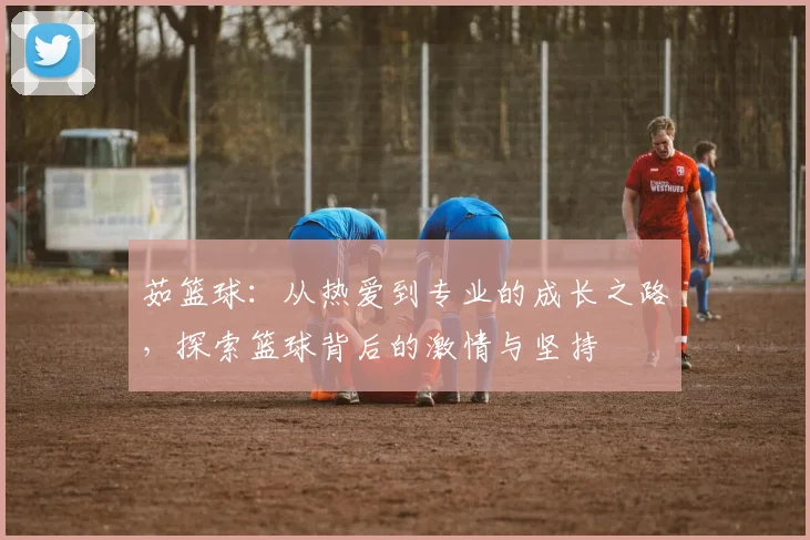 茹篮球：从热爱到专业的成长之路，探索篮球背后的激情与坚持