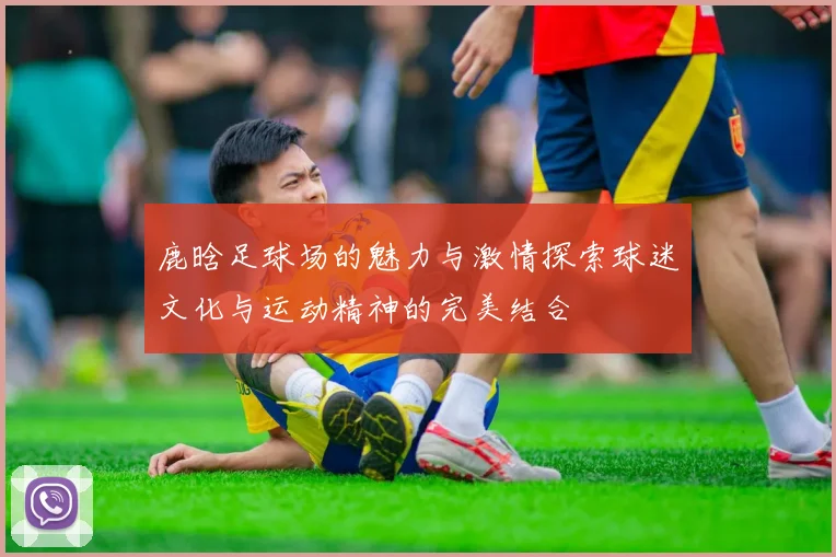 鹿晗足球场的魅力与激情探索球迷文化与运动精神的完美结合