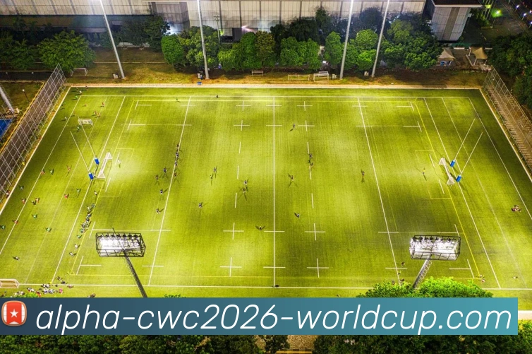 世界杯APP 封面图